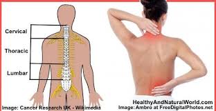Pin On Back Pain Help For You