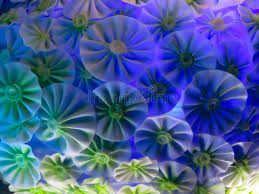 Best home decorating craft from disposable thermocol plate | best out of waste reuse craft idea. 2 334 Pandal Photos Free Royalty Free Stock Photos From Dreamstime