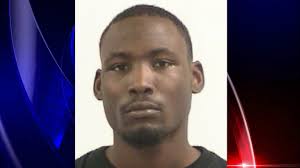 Huntsville Officer shoots, kills dog after being bitten at domestic  violence call