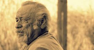 Madison avery urban fantasy young adult, with that kim harrison feel. Where Is Jim Harrison Seven Poems From A Master Literary Hub