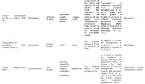 Image result for Crassocephalum picridifolium