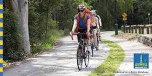 Guided ride - Cabbage Tree Treadly