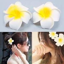 24 pack 2.5 inch hawaiian plumeria flower foam hair clip with 3pcs pearl hair clips and 2pcs acrylic resin hair barrettes, hawaiian hair flower, vacation outfit, for bridal wedding, party, beach 309 $9 99 ($0.42/count) Women Plumeria Flower Hair Clip Accessories Barrette Hawaiian Wedding Party Shopee Singapore