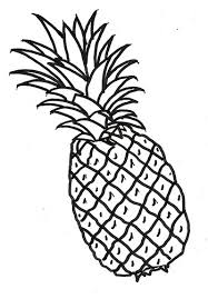 Am drawing pineapple which is very easy. Drawing Skill Line Drawing Of A Pineapple