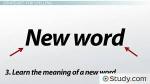 Correct Spelling In Written Work Strategies Tips Video Lesson Transcript Study Com