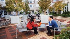 Preparing To Be A Corporate Director Virtual Governance Programs Executive Education Harvar Executive Education Business School Harvard Business School