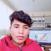 60+ "Dennis Mamani" profiles