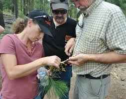 Myth Vs Reality What S The Truth Behind Some Common Gardening Practices Osu Extension Service
