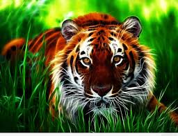 3d Moving Wallpaper For Android Mobile Allwallpaper Gambar Kertas Dinding Harimau