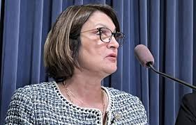 Sally Turner named Legislator of the Year by organization