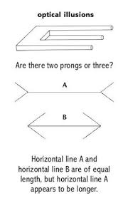 The Meaning Of Optical Illusion An Optical Illusion Also Called A Visual Illusion Is Characterized By Visually Optical Illusions Visual Illusion Illusions