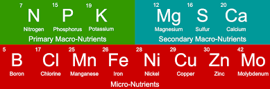 Hydroponic Nutrients Guide | GuruGardener