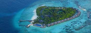Vivanta By Taj Coral Reef A Blissful Maldives Haven Coral Reef Resort Luxury Resort Maldives
