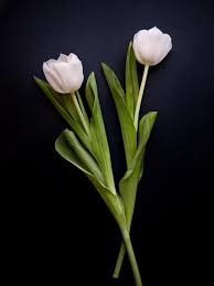 4 cara membuat bunga dari pita jepang. Bunga Dari Pita Kain