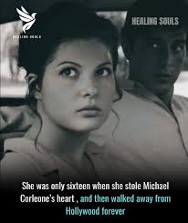 Meet the wolf spider, a fierce and dedicated mother carrying her live  babies