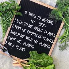 Zz Botanical And Home On Instagram This Sums Me Up Tag Your Bff Photo Rootedgardens We Re Open Tuesday To S In 2020 Plant Lover Gardening Memes Plants