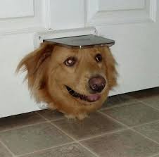 I like Sea shanties — TIL a family in Georgia claimed to have passed...