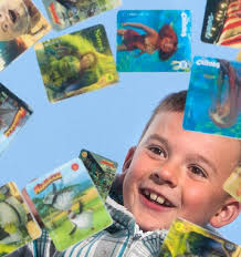 Store staff brace for in-store card swap