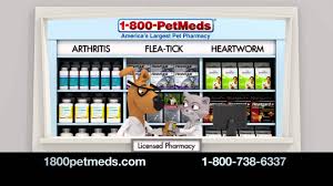 Does your pet have skin issues? True Or False Petmeds Tv Commercial Youtube