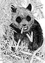 Schattige panda kleurplaat foto panda moeder en kind stockvector. Kleurplaten Dieren Moeilijk Coloring And Drawing