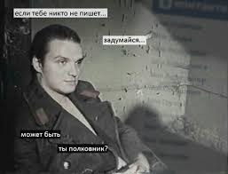 Его казнили 14 февраля 1994 года. Dajdzhest Memov Den Rasstrela Chikatilo I Burger Ot Diany Btnews Me