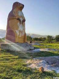 City of cactus flats, sd zip codes. Cactus Flat Sd Six Ton Prairie Dog Page 2