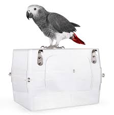 Colorday Large Bird Bath With Clear View For Greys Amazons Conures Cockatiels Parakeet 13x11x8 Inch Upgraded Amazon Com Au Pet Supplies