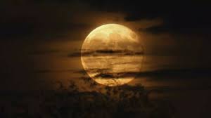 What happens if the Moon disappears | - The Times of India