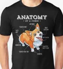 Maybe you would like to learn more about one of these? Pembroke Welsh Corgi Puppies Home Facebook