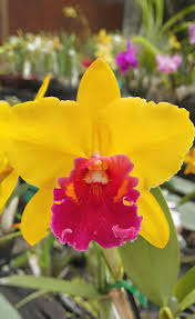 Let's welcome our new members: Cristina Herebia, Charlene Mcneil, Terri  Craythorn, Wendy Griffiths, Eileen Ellington, Robert Summers, Mike  Cavanaugh, Joanne Chambers, Kristena Christensen, Jane Hudson, Deb Parise,  Melinda Carroll, Nancy Ghirardini Mead,