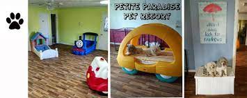 We did not find results for: Petite Paradise Pet Resort Home Facebook