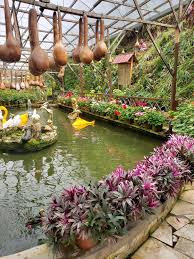 The retreat has a diverse population of more than 43,000 people. O Que Fazer Em Cameron Highlands Malasia Idas E Milhas