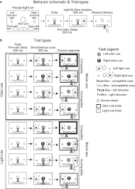 Behavioural Schematic Showing Timing Of The Task And Trial