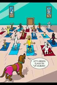 Funny Dog Yoga Cartoon Yoga Funny Yoga Thoughts