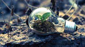 The secrets of a successful online store, in addition to classroom usability, design, assortment, trust rating and download speed are simple:. 10 Sustainable Business Ideas One Is Not Enough 2021