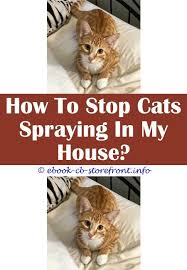 11 Tremendous Cat Spraying Hydrogen Peroxide De 8