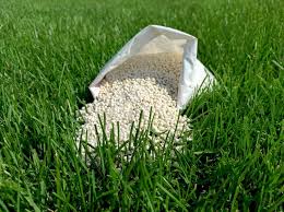 When you have acid soil, raising its ph with lime makes any other fertilizer you use on your lawn more effective. How To Lime A Lawn Perfect Lawn Guide