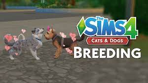 Whenever i look up pet mods, all i can find is clothes/accessories and the. The Sims 4 Cats Dogs Breeding For Profit