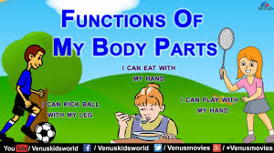 Image result for FUNCTION OF BODY PARTS FOR CLASS1