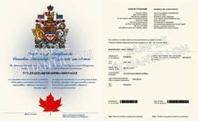 If your application is incomplete or missing information, we will return it to you. Citizenship Or Permanent Residency Apega