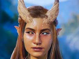 How to fix modding issues with downloading companion heads for Baldur's  Gate III?