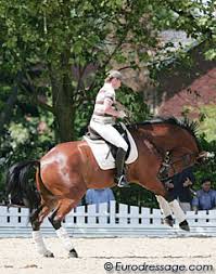 Isabell werth ist die erfolgreichste reiterin in der geschichte, sechs mal gewann sie olympiagold. 10 Lingen Werth Donjohnson 1879