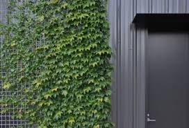 Check spelling or type a new query. Climbing Plants That Give Your Home A New Look