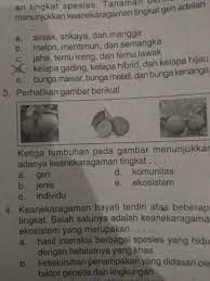 We did not find results for: 3 Ketiga Tumbuhan Pada Gambar Di Bawah Ini Menunjukkan Adanya Keanekaragaman Tingkat 11 Fauna Brainly Co Id