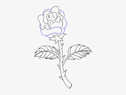 The drawing of a rose is also an equally great idea. How To Draw Rose With A Stem Roses With Thorns Drawings Easy Transparent Png 678x600 Free Download On Nicepng