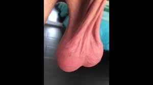 BEAUTIFUL SCROTUM LOW HANGING BALLS Testicles Scrotum to be Exact - Pornhub  Gay