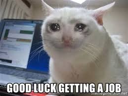 Whether you prefer cats to dogs, or both, everyone can agree that wholesome memes are great to enjoy. Good Luck Cat Memes