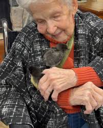 The Village Of Tansley Woods