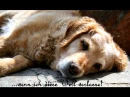 Abschied Nehmen Ein Hund Erzählt Vom Tod Youtube