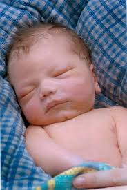 Obituary of Tripp Emerson Paradis